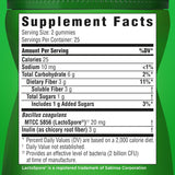 Suplementos Alimenticios para una sana digestión