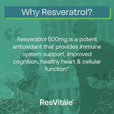 Suplemento ResVitále Resveratrol 500 mg  60 cápsula vegetal