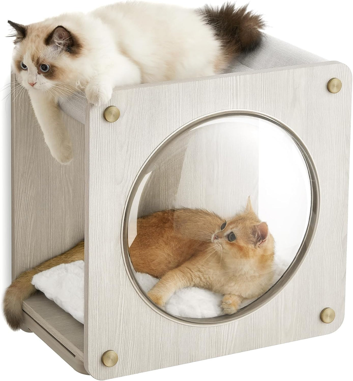 Cueva para Gatos Feandrea, Rincón con Hamaca y Ventana No.010