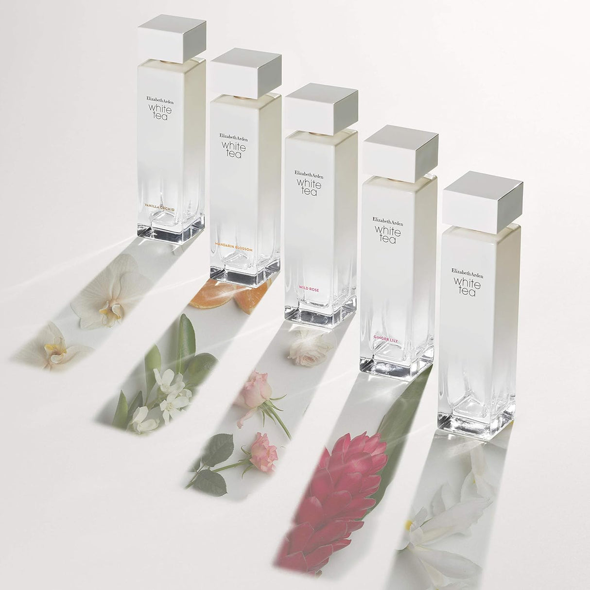 Perfumes Mini cofre de la colección de fragancias White Tea