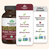 Polvo de Psyllium Orgánico - Fibra de Cáscara Entera, Vegano