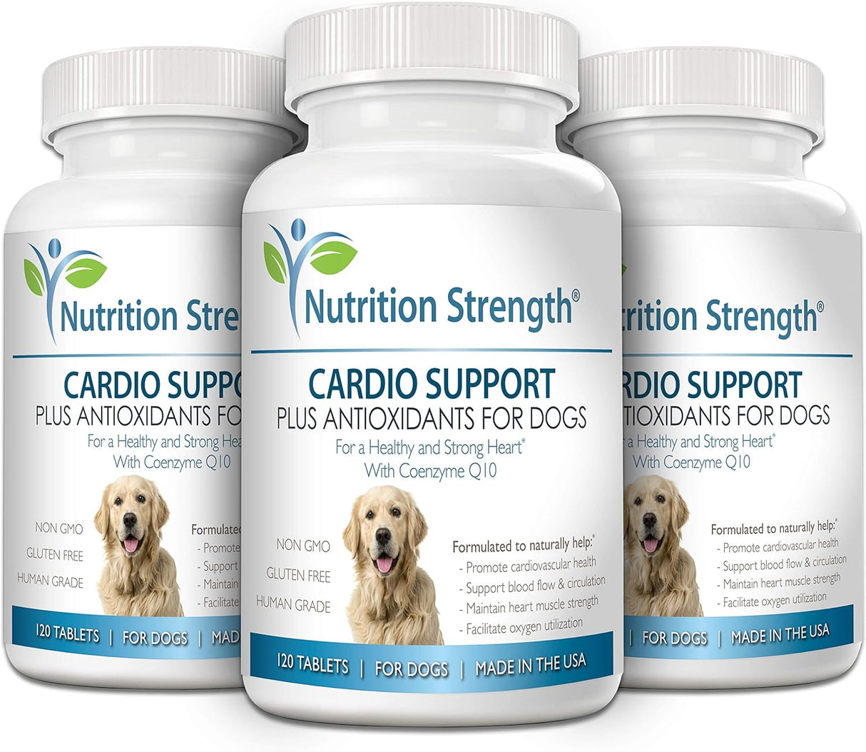 Vitaminas Antioxidante L-carnitina y vitamina E