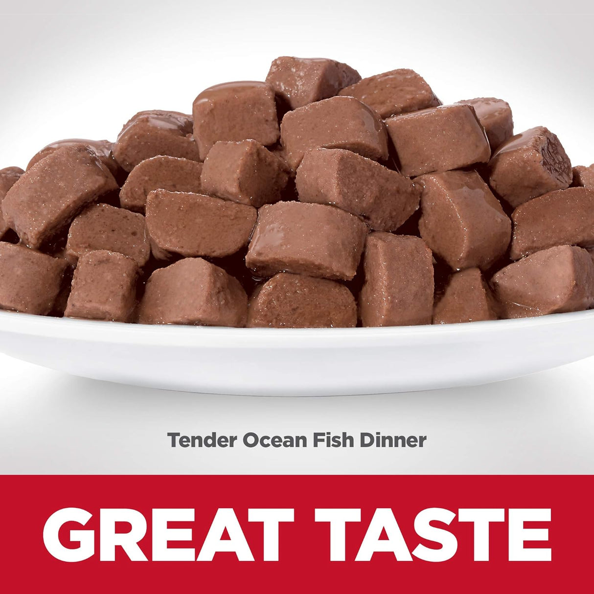 Alimento húmedo para gatos adultos pescado de océano