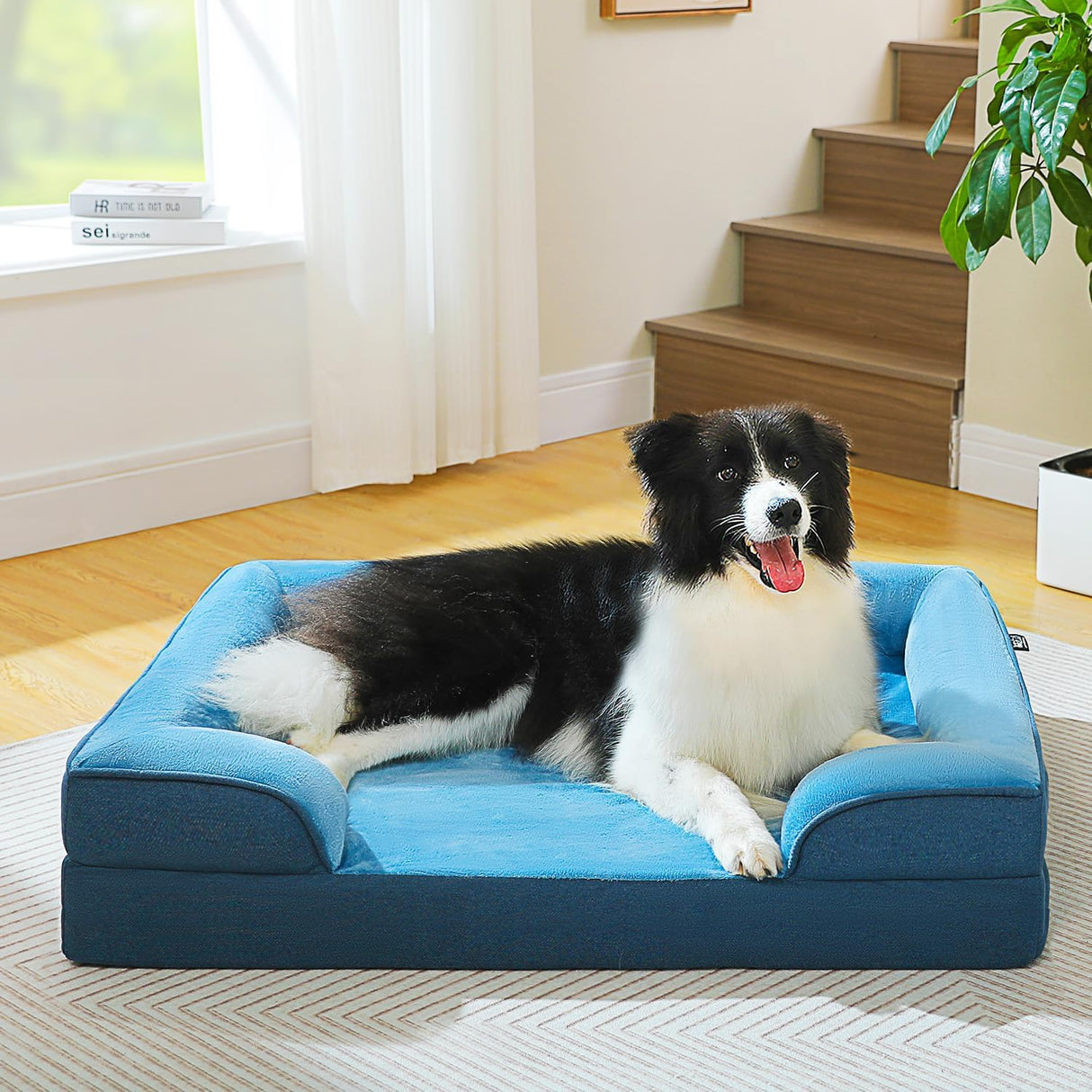 Cama ortopédica para perros PAWZ Road, lavable, tamaño mediano