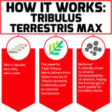Suplemento Tribulus Terrestris Max  refuerzo de testosterona