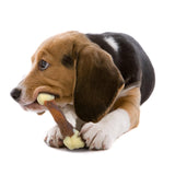 jugute de masticar para perro