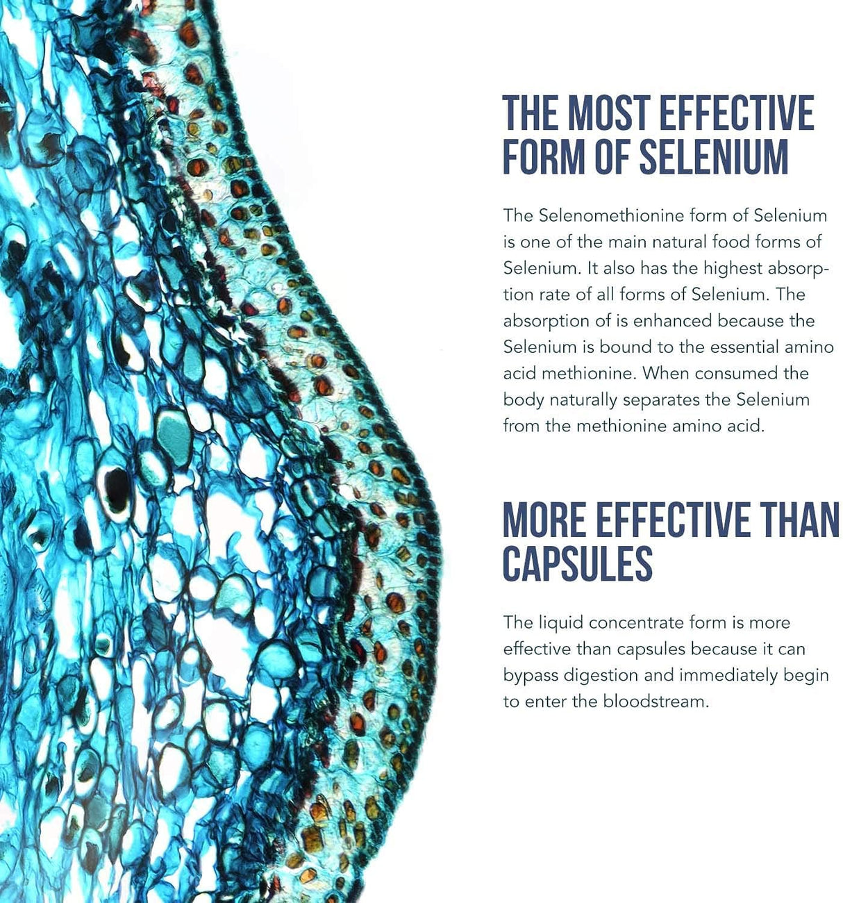 Suplemento Selenio 200 mcg forma de selenometionina 59 ml