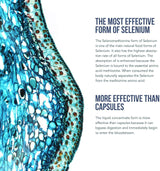 Suplemento Selenio 200 mcg forma de selenometionina 59 ml