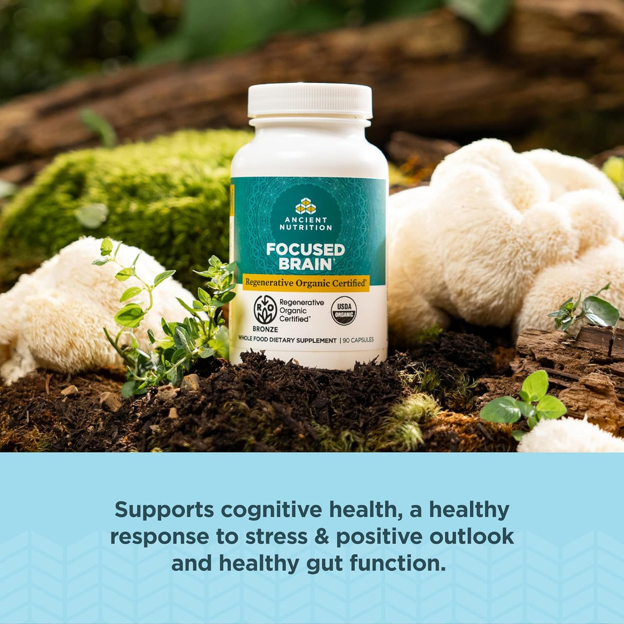 Cápsulas Cerebrales Orgánicas con Ginkgo y Melena de León