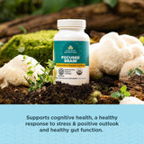 Cápsulas Cerebrales Orgánicas con Ginkgo y Melena de León