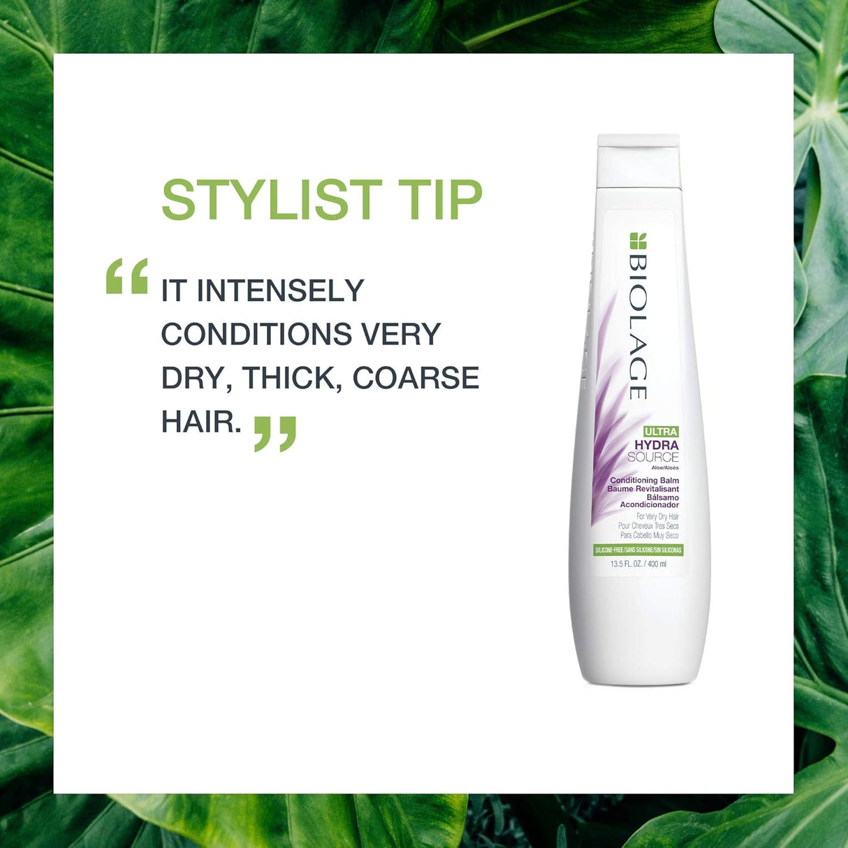 Shampoos y Acondicionadores AntiFrizz