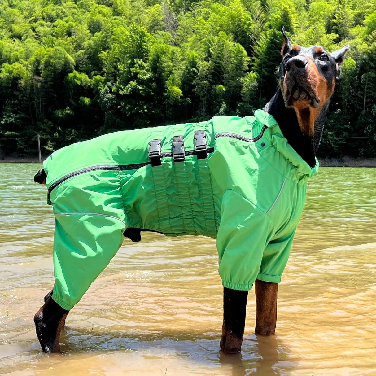 Chaqueta impermeable para perros, ligera, reflectante, XXL