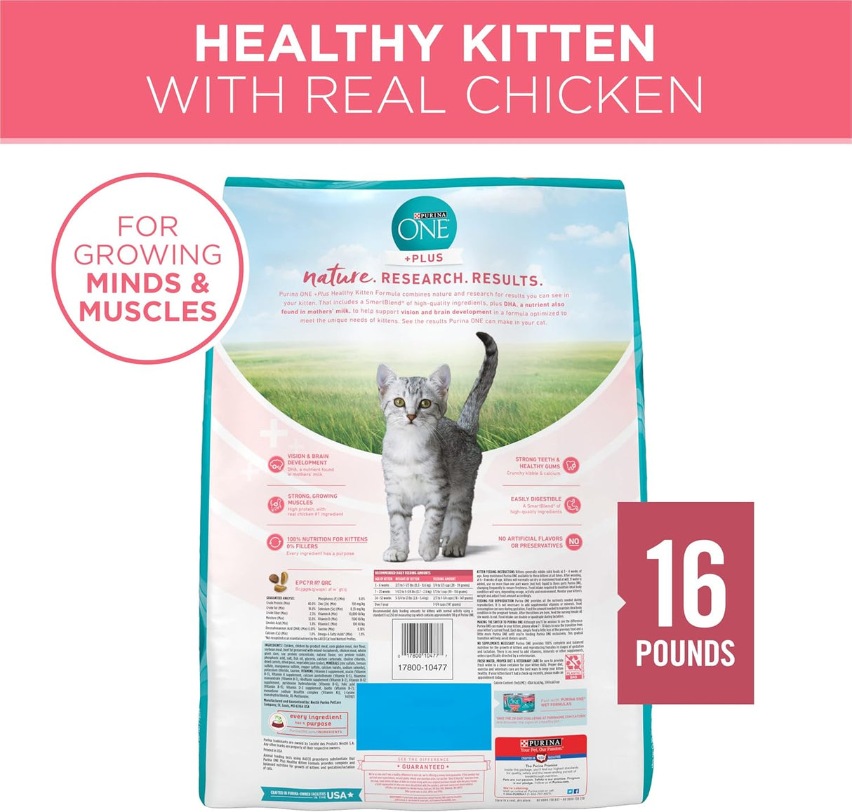 Alimento seco natural para gatitos fórmula saludable