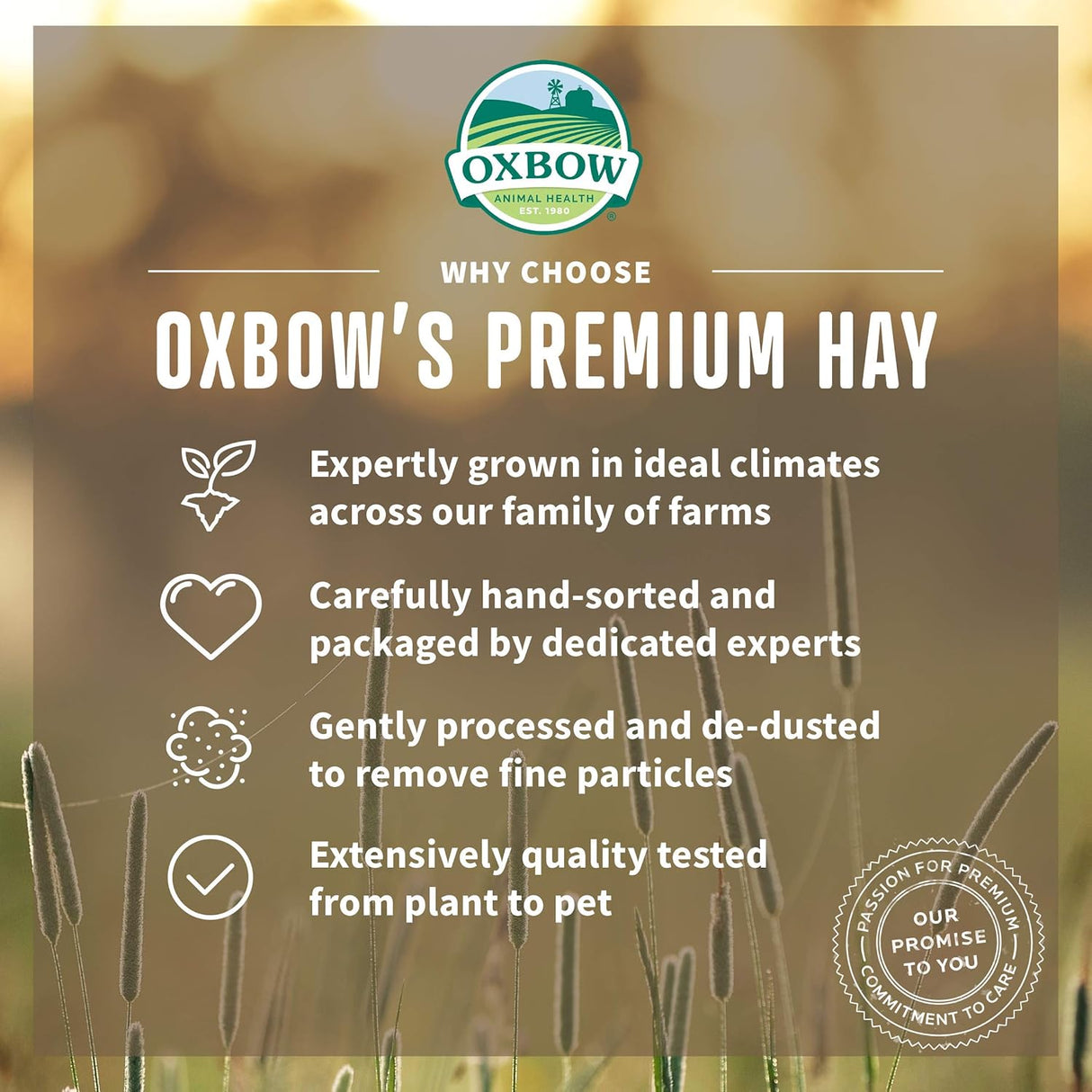 Heno de Hierba Orchard Oxbow - Rico en Fibra - 40 oz.