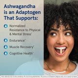 Cápsulas de Ashwagandha 300 mg, Resistencia al Estrés  120u
