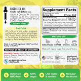 Suplemento Extracto de té verde – 1000 mg  50% EGCG 2 oz.