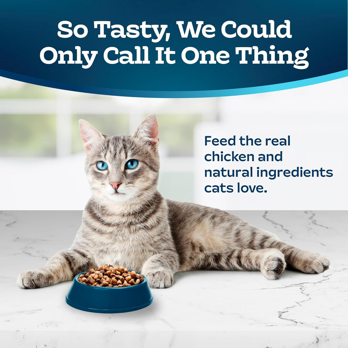 Blue Buffalo Tastefuls Indoor Natural - Alimento seco para gatos adultos, bolsa de pollo de 3 libras