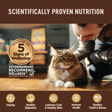 Alimento húmedo natural sin granos para gatos, paté de hígado