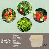 Paquete de 10 Cubos Holandeses - Bato Buckets 11 Litros - Siphon