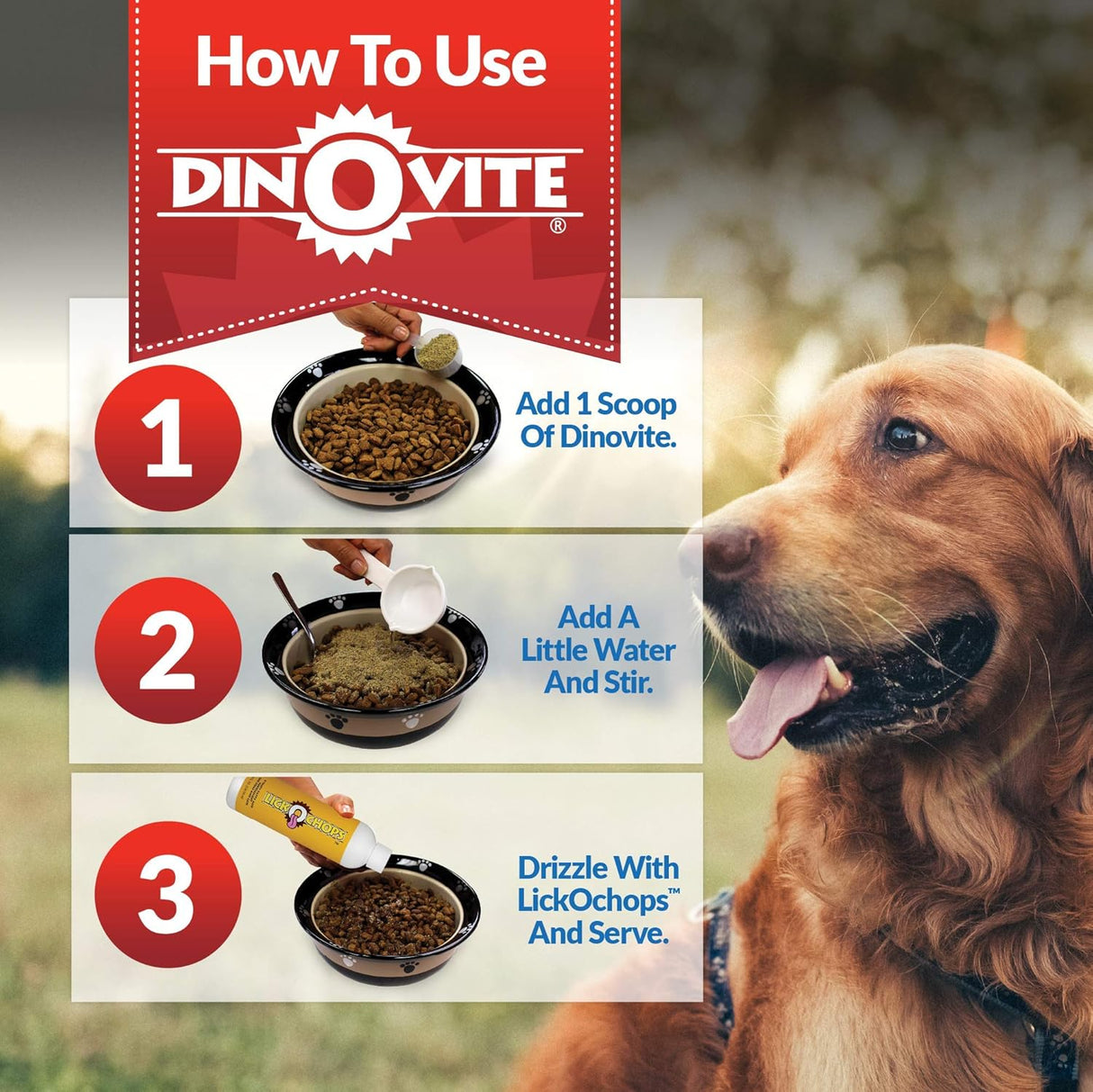 Vitaminas Suplemento probiótico para perros