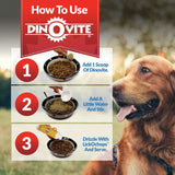 Vitaminas Suplemento probiótico para perros
