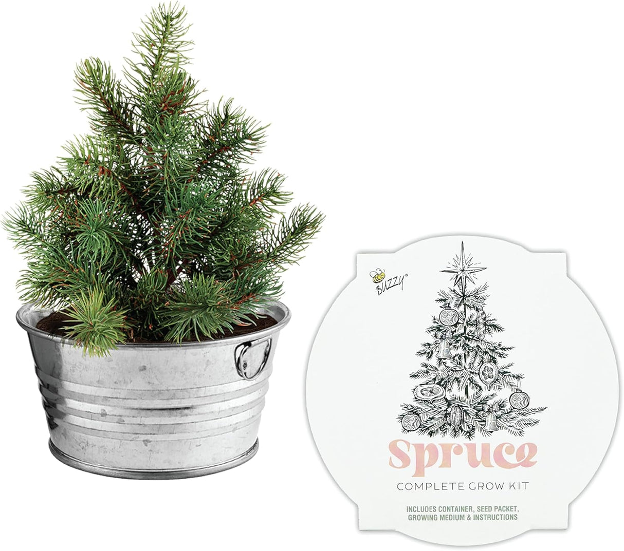 Mini Kit de Crecimiento de Árbol de Navidad BUZZY, Garantizado
