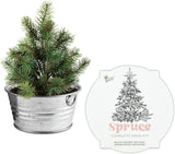 Mini Kit de Crecimiento de Árbol de Navidad BUZZY, Garantizado