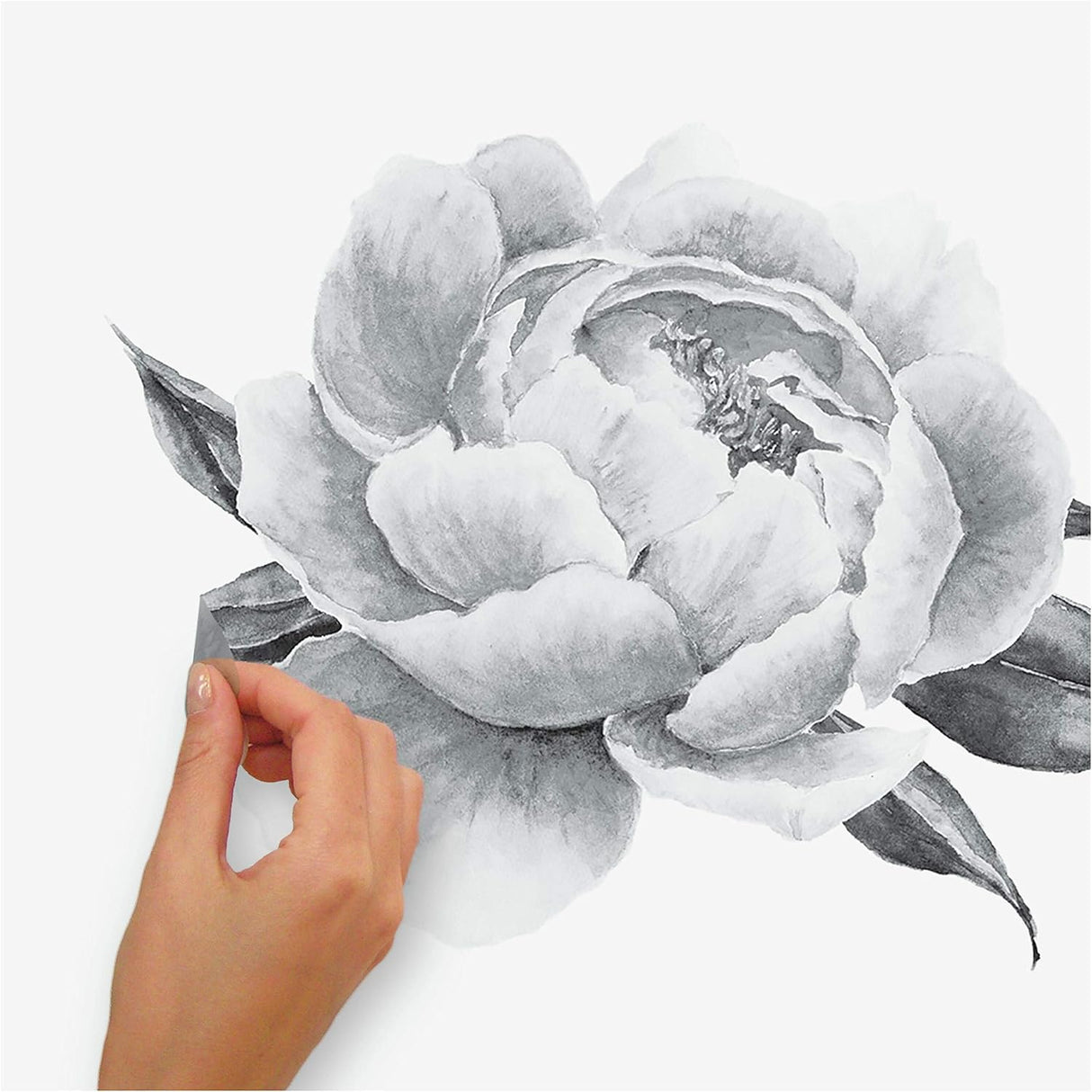 RoomMates RMK4413GM Black and White Peonies Giant Floral Peel and Stick Wall Decals