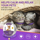 4 collares calmantes para gatos color lila Weewooday