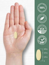 Carlyle KSM-66 Ashwagandha 600mg 120 Caplets