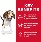 Alimento para Perros Seco Saludable para Cachorros