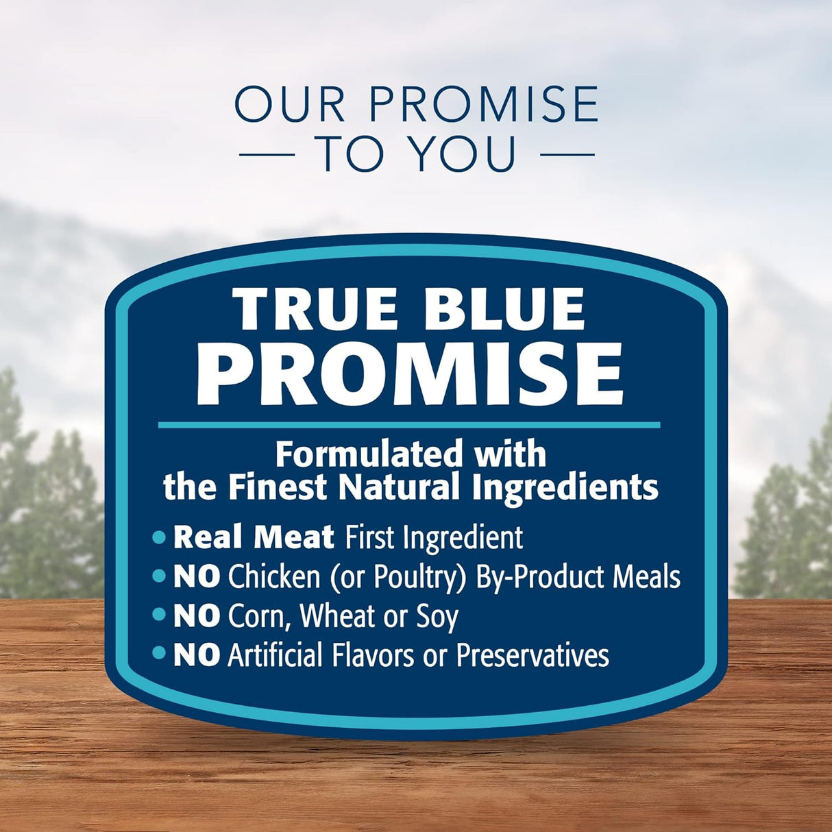 Blue Buffalo Wilderness - Alimento seco natural para gatos adultos, alto en proteínas, pollo, 9.5 libras