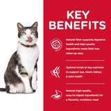 Alimento seco para gatos de interior