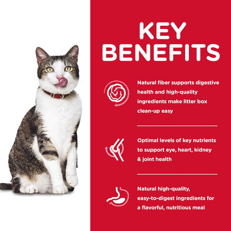 Alimento seco para gatos de interior