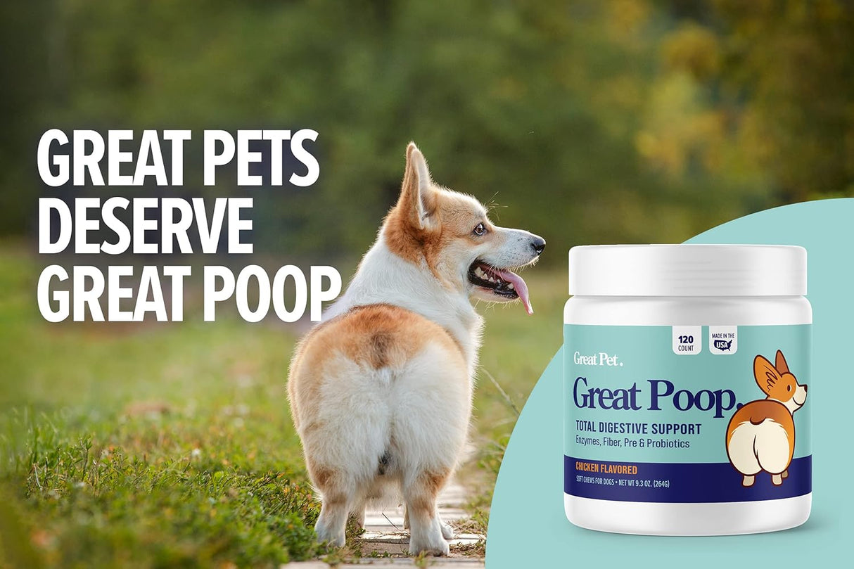 Probióticos para perros y gatos suplemento fibra y enzimas
