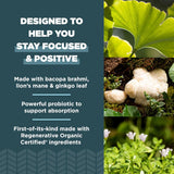 Cápsulas Cerebrales Orgánicas con Ginkgo y Melena de León