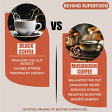 Café de setas adaptogénicas | Energía y enfoque | Orgánico