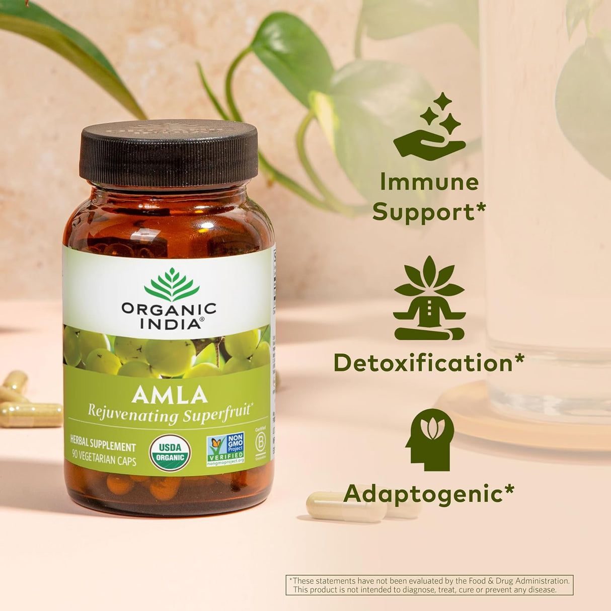 Suplemento de Amalaki Orgánico con Vitamina C, 90 cápsulas