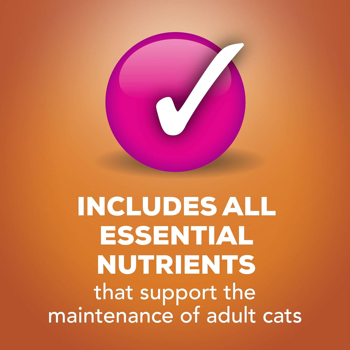Alimento húmedo en conserva para gatos