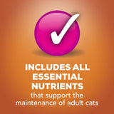 Alimento húmedo en conserva para gatos