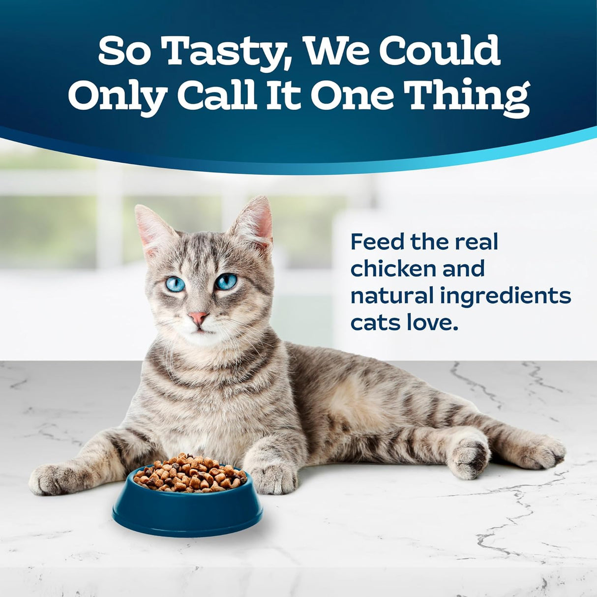 Blue Buffalo Alimento seco natural para gatos, para control de peso, pollo, bolsa de 1.36 kilos