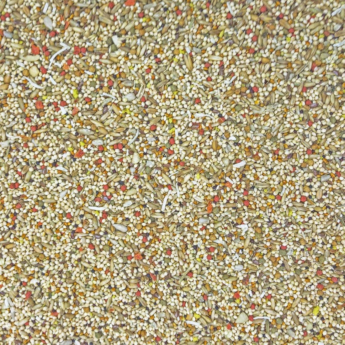 Higgins Paquete de 2 alimentos para pajaros 2 libras