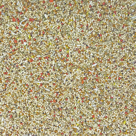 Higgins Paquete de 2 alimentos para pajaros 2 libras