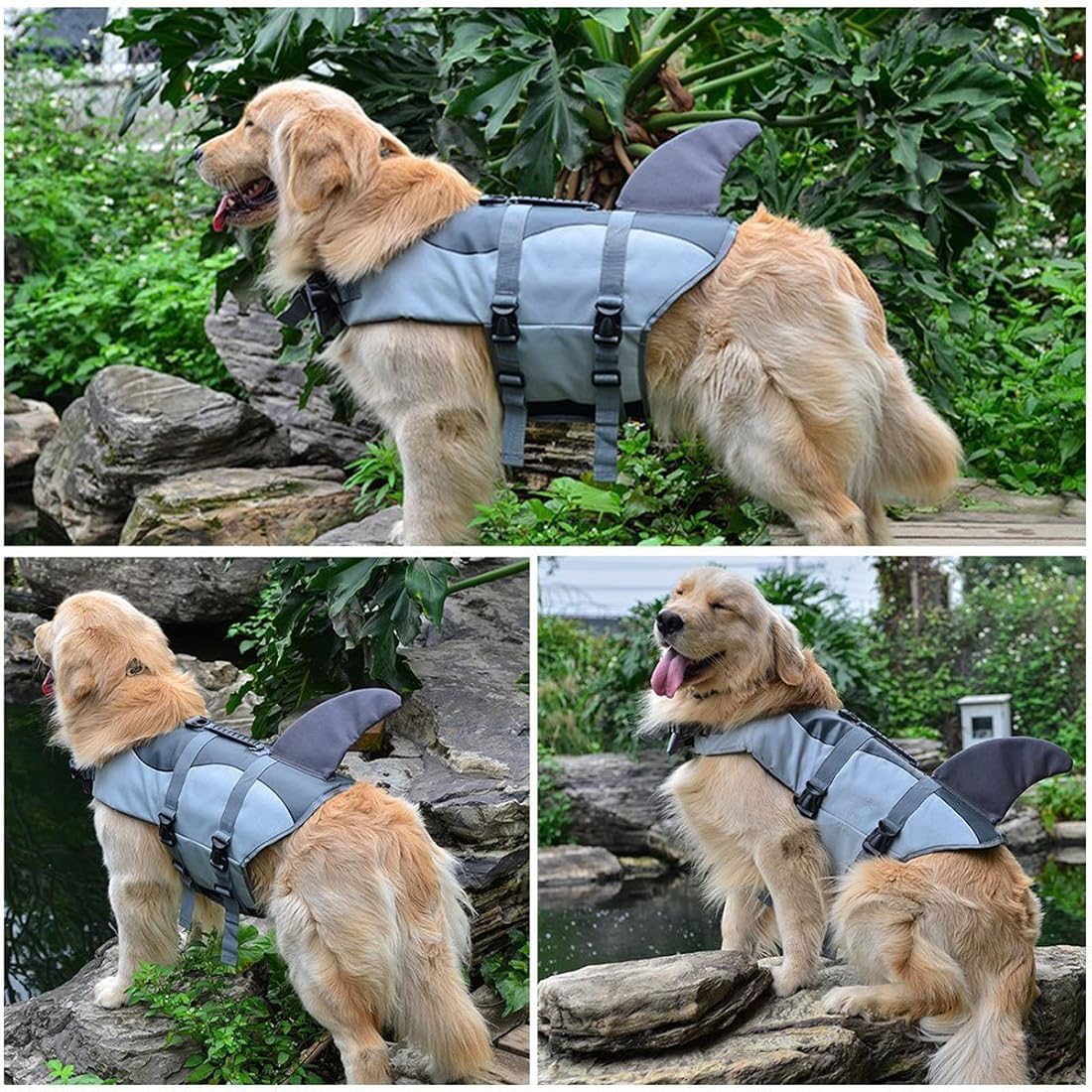 Chalecos salvavidas para perros