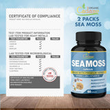 Cadane Cápsulas de Musgo de Irlanda con Vitaminas y Hierbas, 2Pack