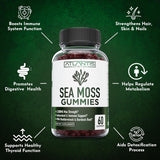 Suplemento musgo marino irlandés 3000 mg Atlantis Nutrition