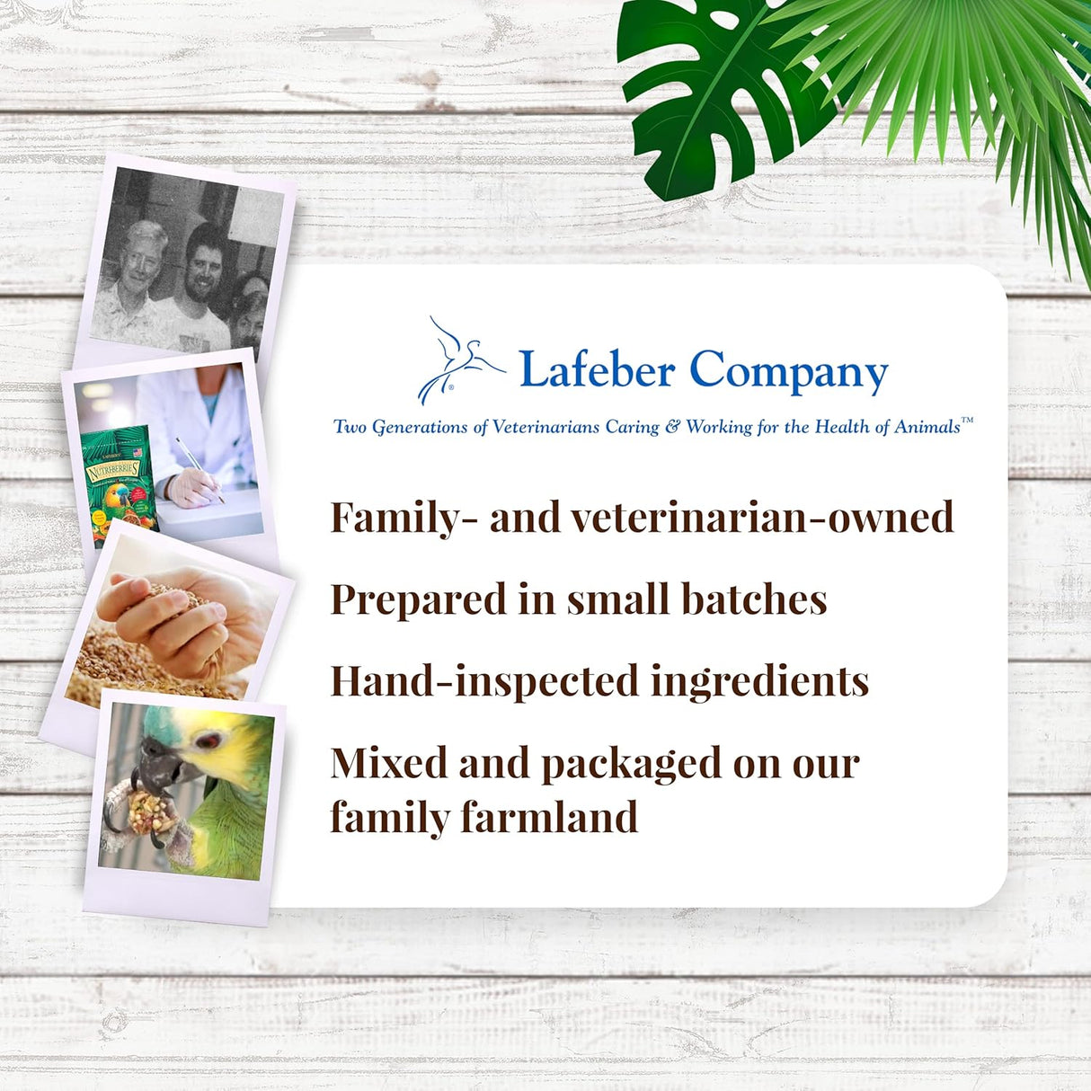 LAFEBER&#39;S Tropical Fruit Nutri-Berries Alimento 3 libras