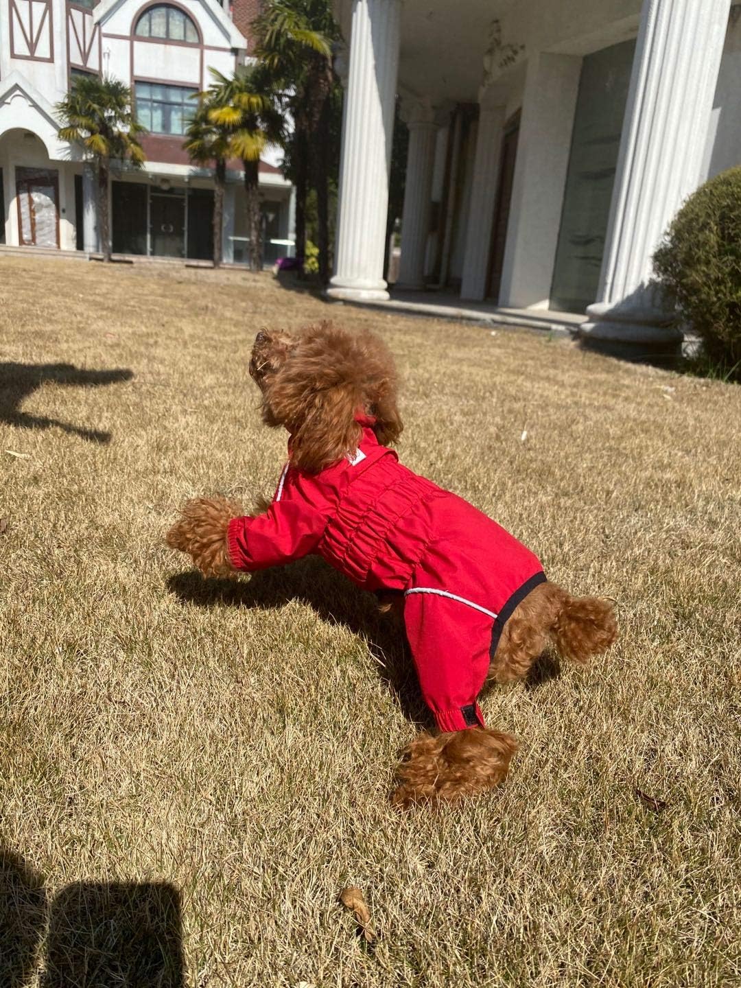 Chaqueta Impermeable para Perros, Ligera, Reflectante, XL