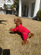 Chaqueta Impermeable para Perros, Ligera, Reflectante, XL