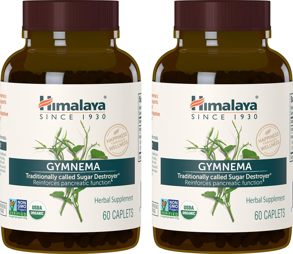 Cápsulas Orgánicas de Gymnema Sylvestre 700 mg  Pack 2 Meses